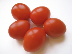 tomaten_1024_2292